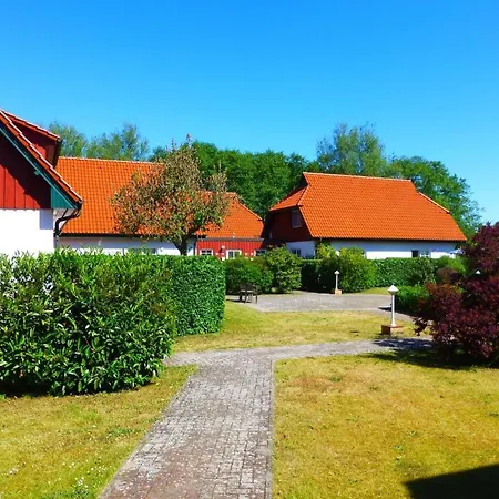 Ostseerose - Dhh 4 Holiday home *